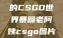 暴躁老阿姨的CSGO世界暴躁老阿姨csgo图片高清在线观看