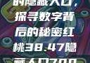 揭秘红桃背后的隐藏人口，探寻数字背后的秘密红桃38.47隐藏人口7004658