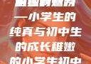 形容稚嫩的小学生与初中生的独特魅力
稚嫩的翅膀—小学生的纯真与初中生的成长稚嫩的小学生初中生怎么形容句子