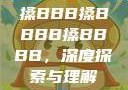 搡BBB搡BBBB搡BBBB，深度探索与理解