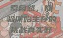真实野外打野视频，探索自然，体验原始生存的挑战真实野外打野视频大全30分