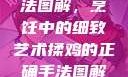 揉鸡的正确手法图解，烹饪中的细致艺术揉鸡的正确手法图解视频