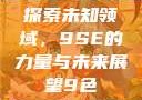 探索未知领域，9SE的力量与未来展望9色