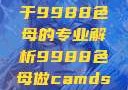 制作CAMDS成分表，关于9988色母的专业解析9988色母做camds成分表最新消息