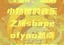 Shape of You，越南小姑娘的音乐之旅shapeofyou越南小姑娘的背景故事
