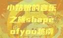 Shape of You，越南小姑娘的音乐之旅shapeofyou越南小姑娘的背景故事
