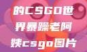 暴躁老阿姨的CSGO世界暴躁老阿姨csgo图片高清在线观看