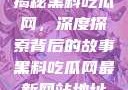 揭秘黑料吃瓜网，深度探索背后的故事黑料吃瓜网最新网站地址