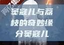 窦寇儿与荔枝的奇妙缘分窦寇儿