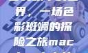 少女眼中的世界，一场色彩斑斓的探险之旅macbook少女