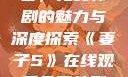 妻子5在线观看，免费韩剧的魅力与深度探索《妻子5》在线观看免费韩剧全集