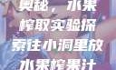 小洞中的果汁奥秘，水果榨取实验探索往小洞里放水果榨果汁会怎样视频