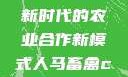 人马畜禽合作共荣，探索新时代的农业合作新模式人马畜禽croproation官网入口