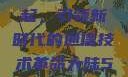 大陆5G的崛起，引领新时代的通信技术革命大陆5g奭域名解析