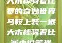 马鞍上装一根大木棒骑着比赛的奇妙世界马鞍上装一根大木棒骑着比赛小说笔趣阁