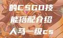 暴躁老阿姨的CSGO技能搭配介绍人马一级csgo交易网站