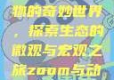 Zoom与动物的奇妙世界，探索生态的微观与宏观之旅zoom与动物zoom大全