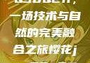 探索樱花JSQ30Q211，一场技术与自然的完美融合之旅樱花jsq30q211使用说明