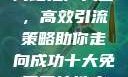揭秘十大免费网站推广入口，高效引流策略助你走向成功十大免费网站推广入口2024