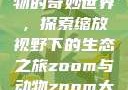 Zoom与动物的奇妙世界，探索缩放视野下的生态之旅zoom与动物zoom大全