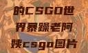 暴躁老阿姨的CSGO世界暴躁老阿姨csgo图片高清在线观看