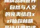 探索xzl仙踪林精品的世界，自然与人文的完美结合xzl仙踪林精品幼儿园的课程设置