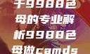制作CAMDS成分表，关于9988色母的专业解析9988色母做camds成分表最新消息
