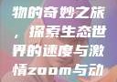 Zoom与动物的奇妙之旅，探索生态世界的速度与激情zoom与动物zoom大全