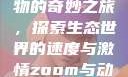Zoom与动物的奇妙之旅，探索生态世界的速度与激情zoom与动物zoom大全