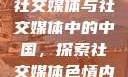 中国视角下的社交媒体与社交媒体中的中国，探索社交媒体色情内容问题с9'