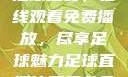 51网站直播足球盛宴，在线观看免费播放，尽享足球魅力足球直播比赛平台免费观看