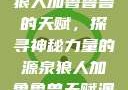 狼人加鲁鲁兽的天赋，探寻神秘力量的源泉狼人加鲁鲁兽天赋澳
