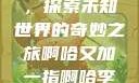 啊哈又加一指，探索未知世界的奇妙之旅啊哈又加一指啊哈李白韩信