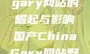 国产Chinagary网站的崛起与影响国产ChinaGary网站野外