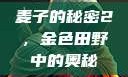 麦子的秘密2，金色田野中的奥秘
