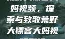 荒野大镖客大妈视频，探索与致敬荒野大镖客大妈视频剧情
