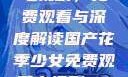 国产花季少女电视剧，免费观看与深度解读国产花季少女免费观看电视剧680.