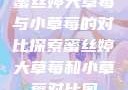 蜜丝婷大草莓与小草莓的对比探索蜜丝婷大草莓和小草莓对比图