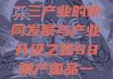 探索中国产业新篇章，一二三产业的协同发展与产业升级之路98精产国品一二三产区区别视频