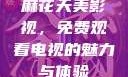 麻花天美影视，免费观看电视的魅力与体验