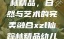 探索xzl仙踪林精品，自然与艺术的完美融合xzl仙踪林精品幼儿园的课程设置