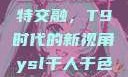 ysl千人千色与MBA的独特交融，T9时代的新视角ysl千人千色t9t9t9t9t9mba图片