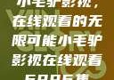 小毛驴影视，在线观看的无限可能小毛驴影视在线观看6996集