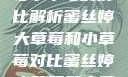 蜜丝婷大草莓与小草莓的对比解析蜜丝婷大草莓和小草莓对比蜜丝婷大草莓和小草莓对比图