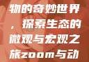 Zoom与动物的奇妙世界，探索生态的微观与宏观之旅zoom与动物zoom大全