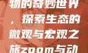 Zoom与动物的奇妙世界，探索生态的微观与宏观之旅zoom与动物zoom大全