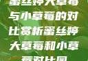 蜜丝婷大草莓与小草莓的对比赏析蜜丝婷大草莓和小草莓对比图