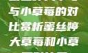 蜜丝婷大草莓与小草莓的对比赏析蜜丝婷大草莓和小草莓对比图