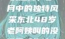 东北老阿姨的魅力，岁月中的独特风采东北48岁老阿姨叫的没谁了吗为什么还要叫她呢