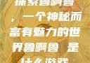 探索鲁啊鲁，一个神秘而富有魅力的世界鲁啊鲁 是什么游戏